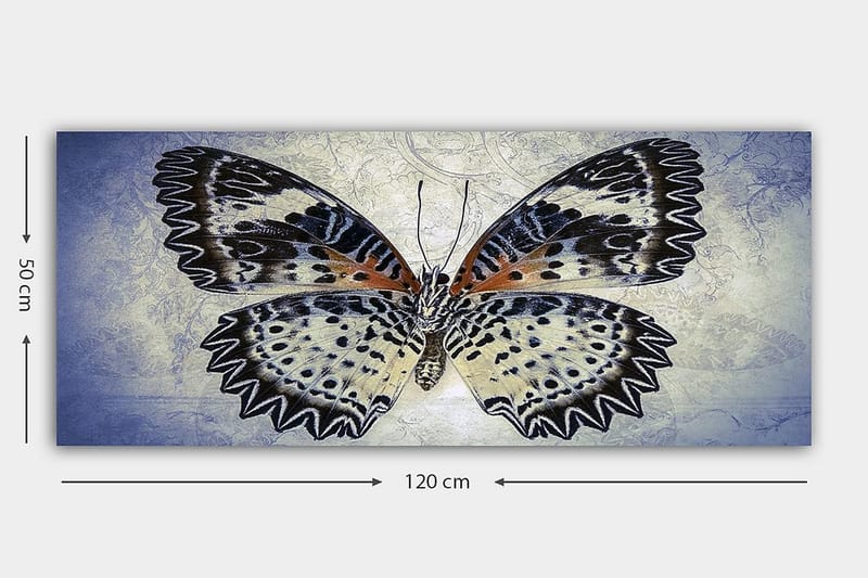 Canvasbilde YTY Animals Flerfarget - 120x50 cm - Interiør - Maleri & posters - Lerretsbilder