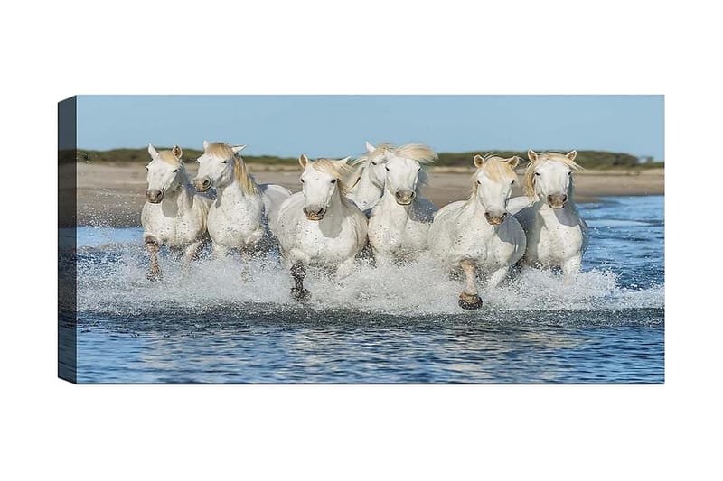 Canvasbilde YTY Animals Flerfarget - 120x50 cm - Interiør - Maleri & posters - Lerretsbilder