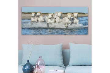 Canvasbilde YTY Animals Flerfarget - 120x50 cm - Interiør - Maleri & posters - Lerretsbilder