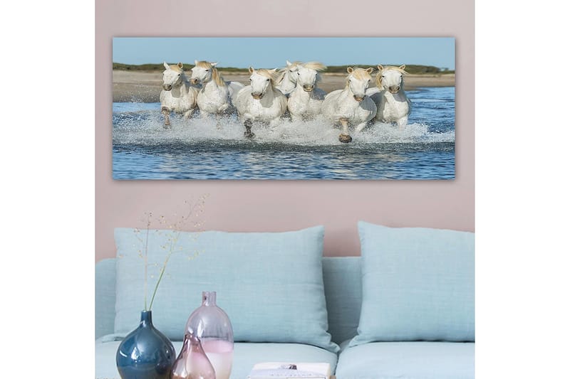 Canvasbilde YTY Animals Flerfarget - 120x50 cm - Interiør - Maleri & posters - Lerretsbilder