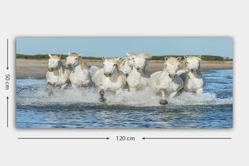 Canvasbilde YTY Animals Flerfarget - 120x50 cm - Interiør - Maleri & posters - Lerretsbilder