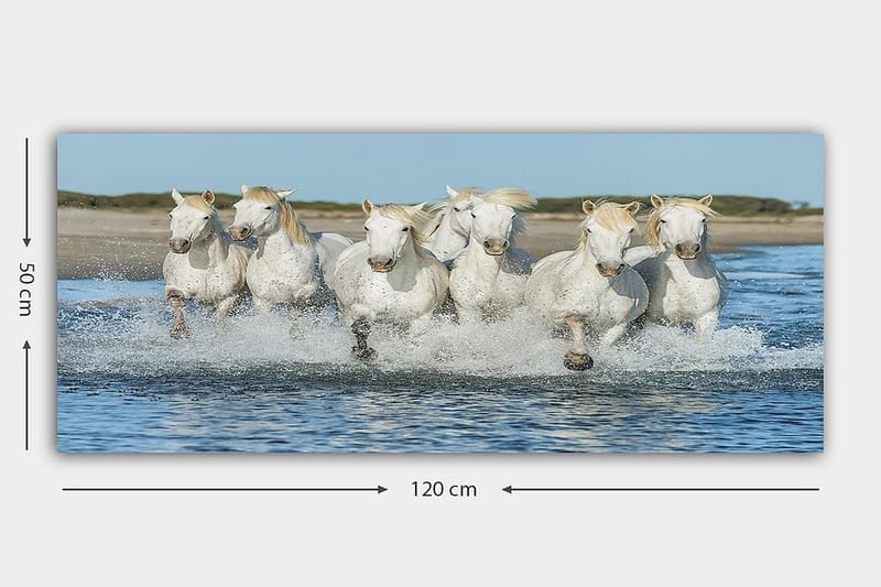 Canvasbilde YTY Animals Flerfarget - 120x50 cm - Interiør - Maleri & posters - Lerretsbilder