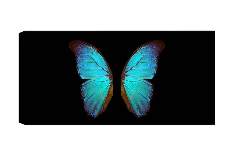 Canvasbilde YTY Animals Flerfarget - 120x50 cm - Interiør - Maleri & posters - Lerretsbilder