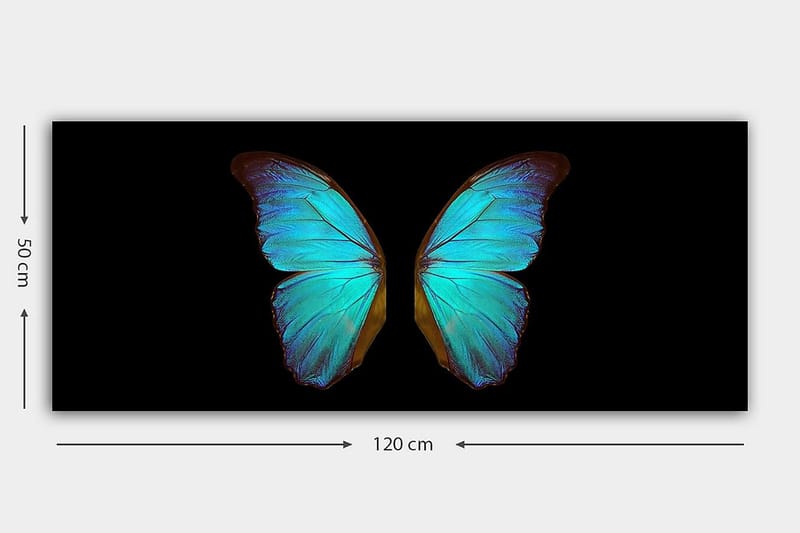Canvasbilde YTY Animals Flerfarget - 120x50 cm - Interiør - Maleri & posters - Lerretsbilder