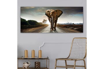 Canvasbilde YTY Animals Flerfarget - 120x50 cm - Interiør - Maleri & posters - Lerretsbilder