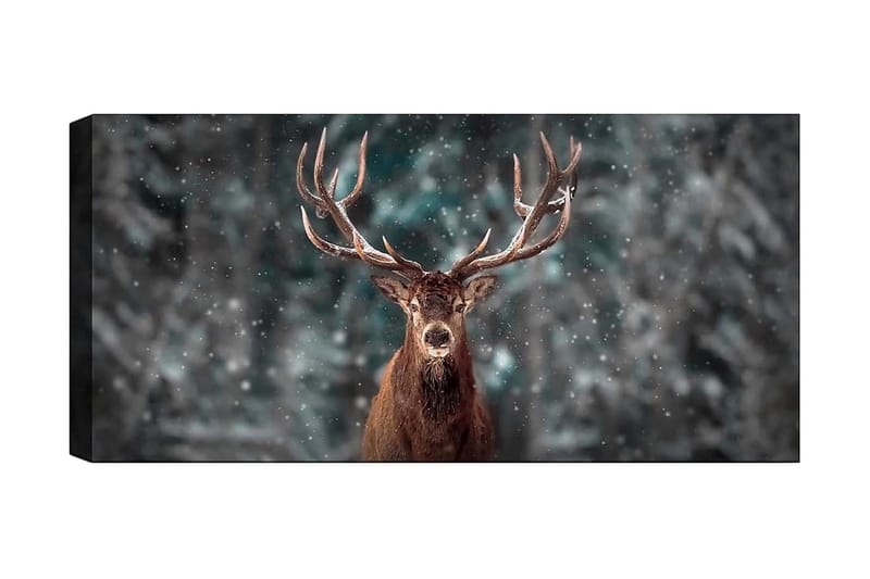 Canvasbilde YTY Animals Flerfarget - 120x50 cm - Interiør - Maleri & posters - Lerretsbilder