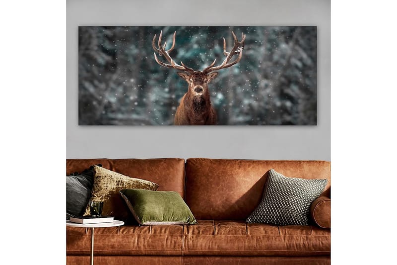 Canvasbilde YTY Animals Flerfarget - 120x50 cm - Interiør - Maleri & posters - Lerretsbilder