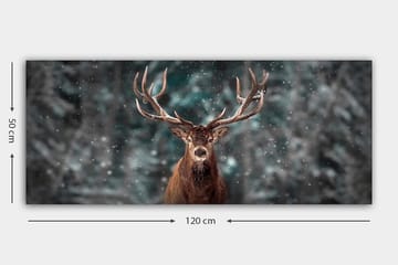 Canvasbilde YTY Animals Flerfarget - 120x50 cm - Interiør - Maleri & posters - Lerretsbilder
