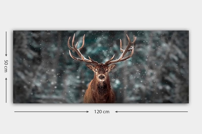 Canvasbilde YTY Animals Flerfarget - 120x50 cm - Interiør - Maleri & posters - Lerretsbilder