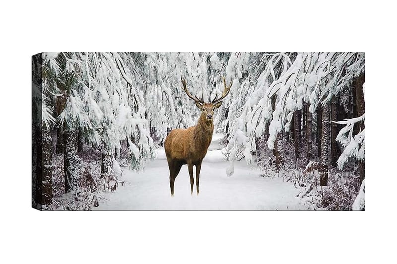 Canvasbilde YTY Animals Flerfarget - 120x50 cm - Interiør - Maleri & posters - Lerretsbilder