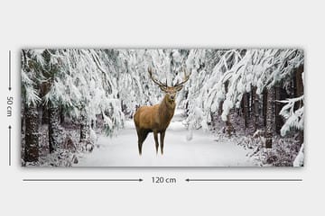 Canvasbilde YTY Animals Flerfarget - 120x50 cm - Interiør - Maleri & posters - Lerretsbilder