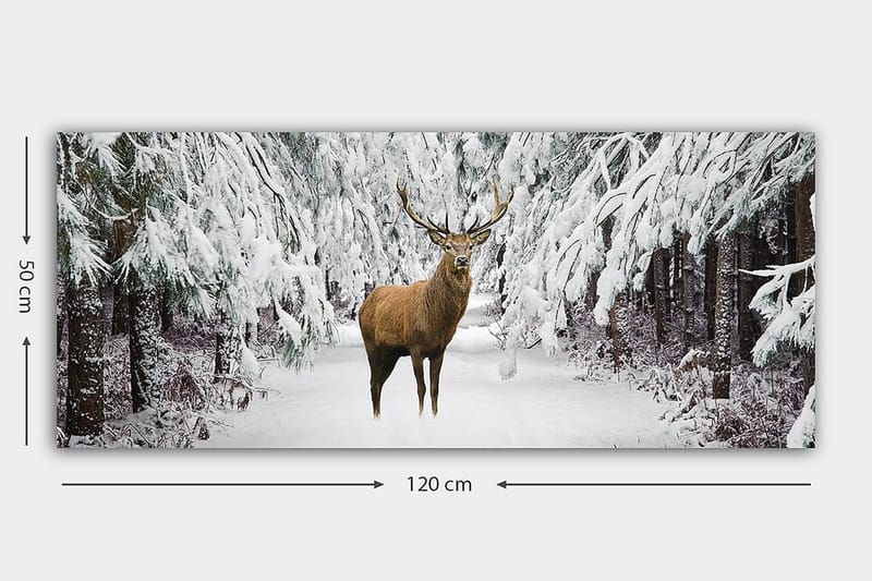 Canvasbilde YTY Animals Flerfarget - 120x50 cm - Interiør - Maleri & posters - Lerretsbilder