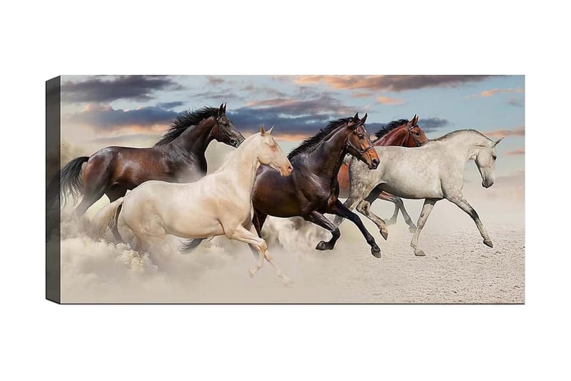 Canvasbilde YTY Animals Flerfarget - 120x50 cm - Interiør - Maleri & posters - Lerretsbilder