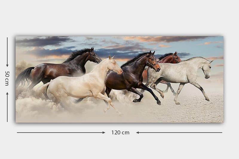 Canvasbilde YTY Animals Flerfarget - 120x50 cm - Interiør - Maleri & posters - Lerretsbilder