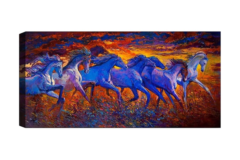 Canvasbilde YTY Animals Flerfarget - 120x50 cm - Lerretsbilder