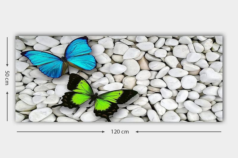 Canvasbilde YTY Animals Flerfarget - 120x50 cm - Interiør - Maleri & posters - Lerretsbilder