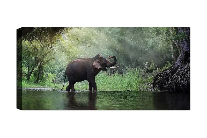 Canvasbilde YTY Animals Flerfarget, 120x50 cm