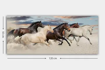 Canvasbilde YTY Animals Flerfarget - 120x50 cm - Interiør - Maleri & posters - Lerretsbilder