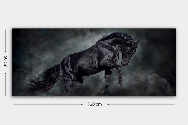 Canvasbilde YTY Animals Flerfarget - 120x50 cm - Interiør - Maleri & posters - Lerretsbilder