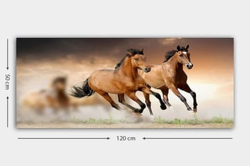 Canvasbilde YTY Animals Flerfarget - 120x50 cm - Interiør - Maleri & posters - Lerretsbilder