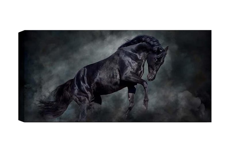 Canvasbilde YTY Animals Flerfarget, 120x50 cm