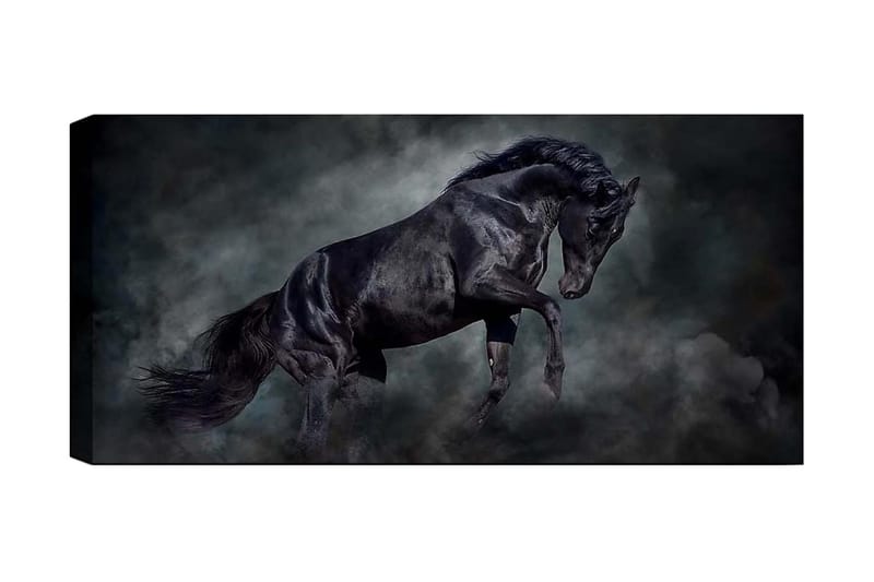 Canvasbilde YTY Animals Flerfarget, 120x50 cm