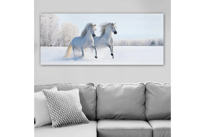 Canvasbilde YTY Animals Flerfarget - 120x50 cm - Interiør - Maleri & posters - Lerretsbilder