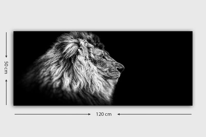 Canvasbilde YTY Animals Flerfarget - 120x50 cm - Interiør - Maleri & posters - Lerretsbilder