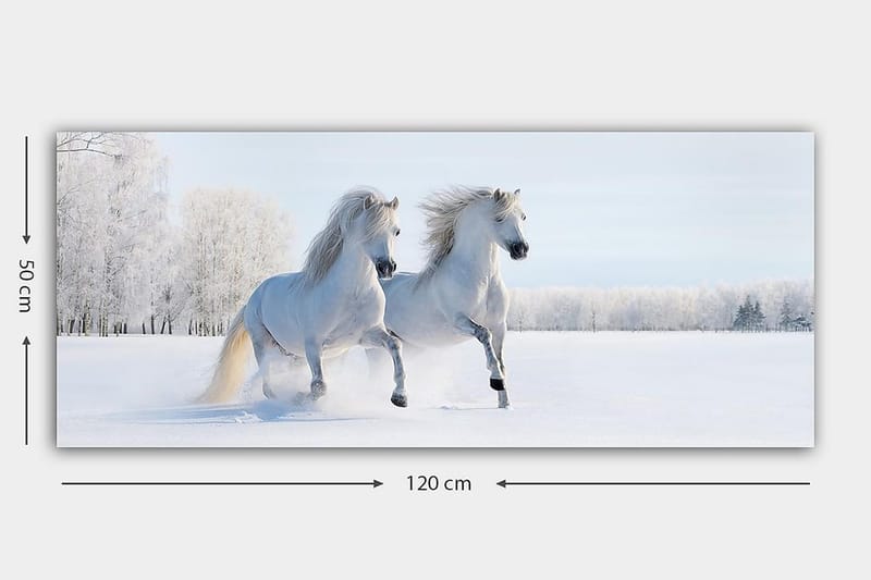 Canvasbilde YTY Animals Flerfarget - 120x50 cm - Interiør - Maleri & posters - Lerretsbilder