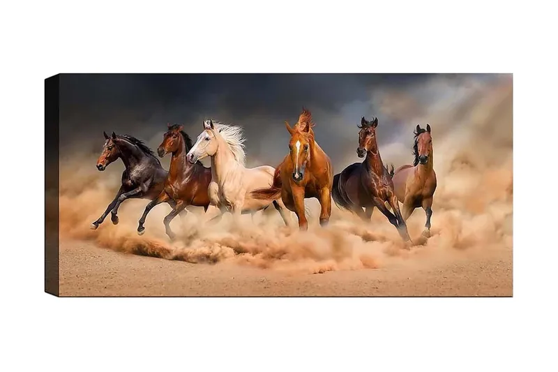 Canvasbilde YTY Animals Flerfarget, 120x50 cm