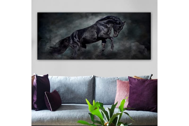 Canvasbilde YTY Animals Flerfarget - 120x50 cm - Interiør - Maleri & posters - Lerretsbilder