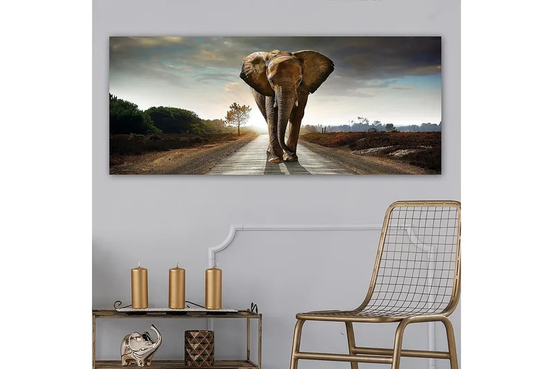 Canvasbilde YTY Animals Flerfarget - 120x50 cm - Interiør - Maleri & posters - Lerretsbilder