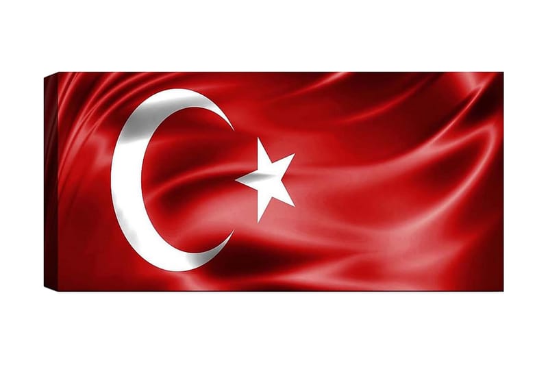 Canvasbilde YTY Flag Flerfarget - 120x50 cm - Interiør - Maleri & posters - Lerretsbilder