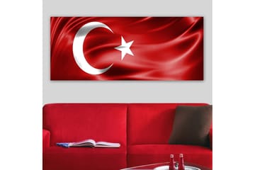 Canvasbilde YTY Flag Flerfarget - 120x50 cm - Interiør - Maleri & posters - Lerretsbilder