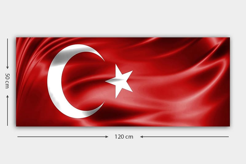 Canvasbilde YTY Flag Flerfarget - 120x50 cm - Interiør - Maleri & posters - Lerretsbilder