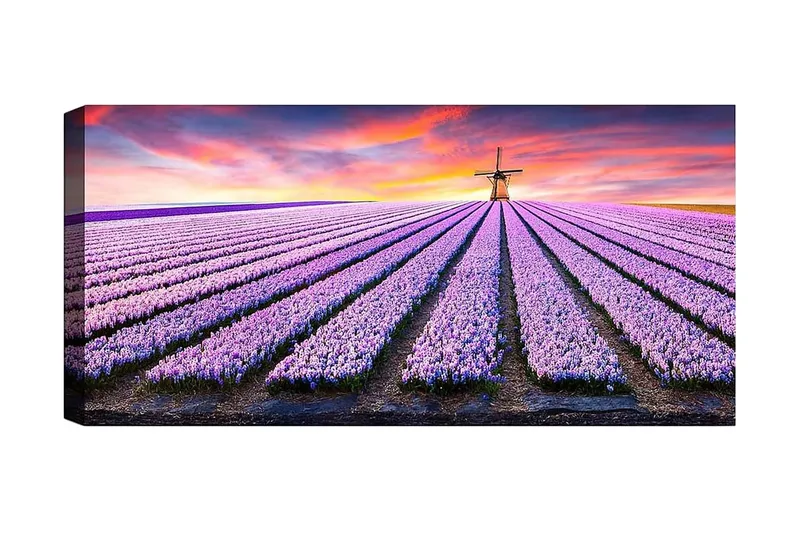 Canvasbilde YTY Floral & Botanical Flerfarget, 120x50 cm