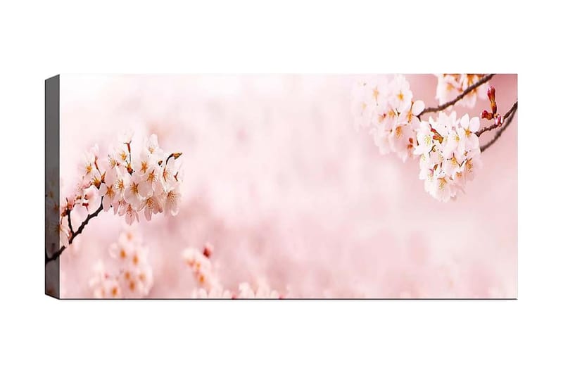 Canvasbilde YTY Floral & Botanical Flerfarget, 120x50 cm