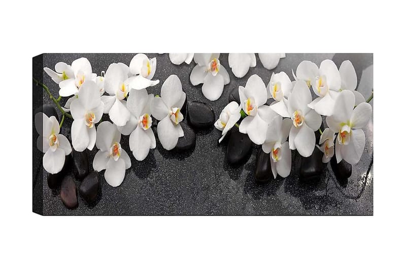Canvasbilde YTY Floral & Botanical Flerfarget - 120x50 cm - Interiør - Maleri & posters - Lerretsbilder