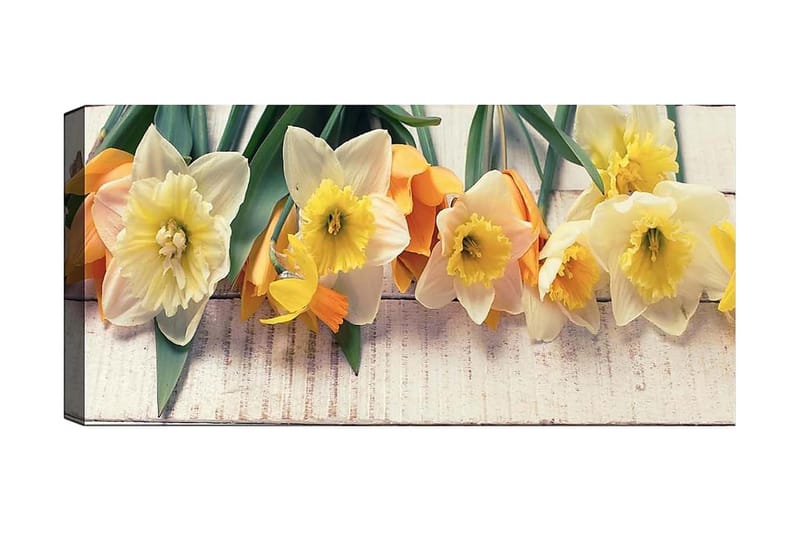 Canvasbilde YTY Floral & Botanical Flerfarget - 120x50 cm - Interiør - Maleri & posters - Lerretsbilder