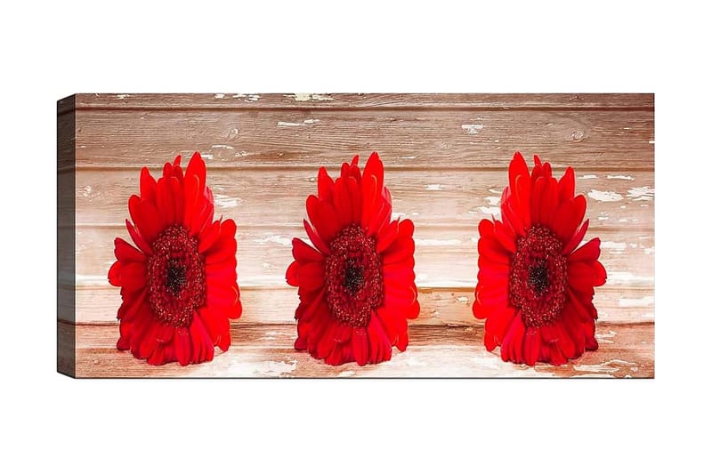 Canvasbilde YTY Floral & Botanical Flerfarget - 120x50 cm - Interiør - Maleri & posters - Lerretsbilder