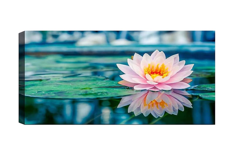 Canvasbilde YTY Floral & Botanical Flerfarget - 120x50 cm - Interiør - Maleri & posters - Lerretsbilder