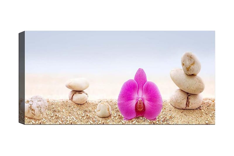 Canvasbilde YTY Floral & Botanical Flerfarget - 120x50 cm - Interiør - Maleri & posters - Lerretsbilder