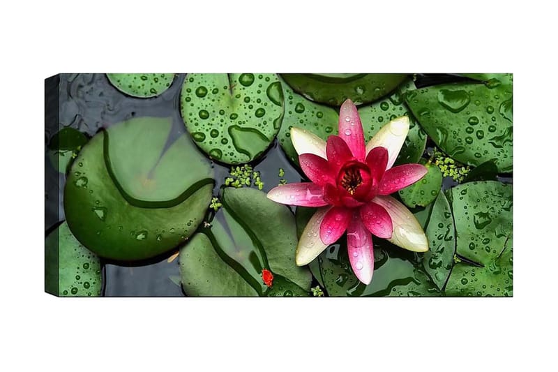 Canvasbilde YTY Floral & Botanical Flerfarget - 120x50 cm - Interiør - Maleri & posters - Lerretsbilder