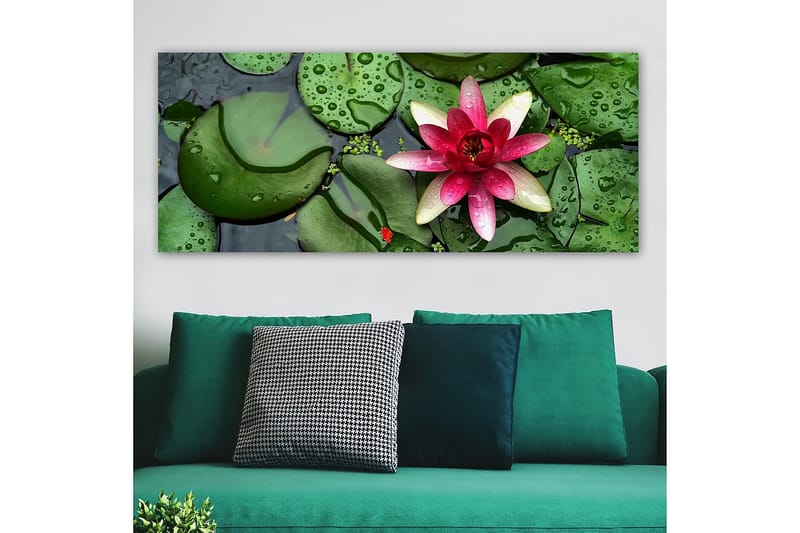 Canvasbilde YTY Floral & Botanical Flerfarget - 120x50 cm - Interiør - Maleri & posters - Lerretsbilder
