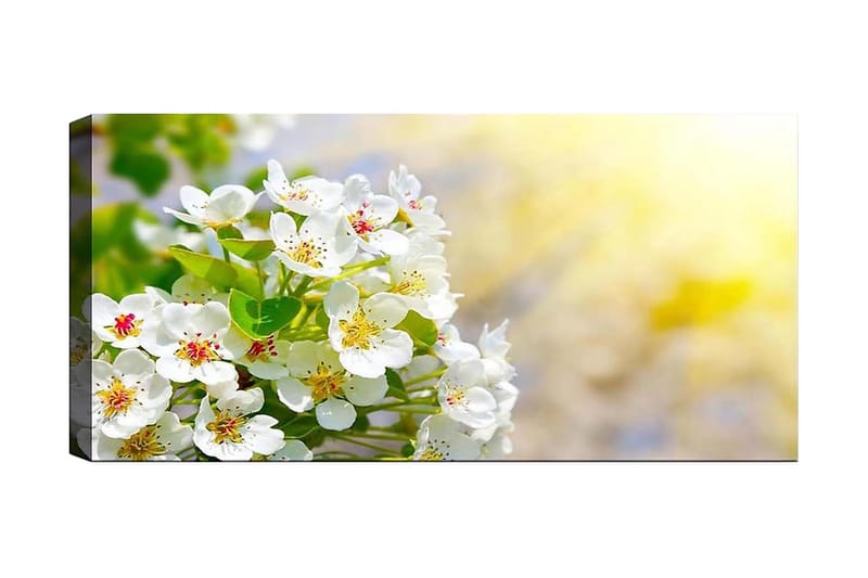 Canvasbilde YTY Floral & Botanical Flerfarget - 120x50 cm - Interiør - Maleri & posters - Lerretsbilder