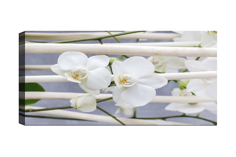 Canvasbilde YTY Floral & Botanical Flerfarget - 120x50 cm - Interiør - Maleri & posters - Lerretsbilder