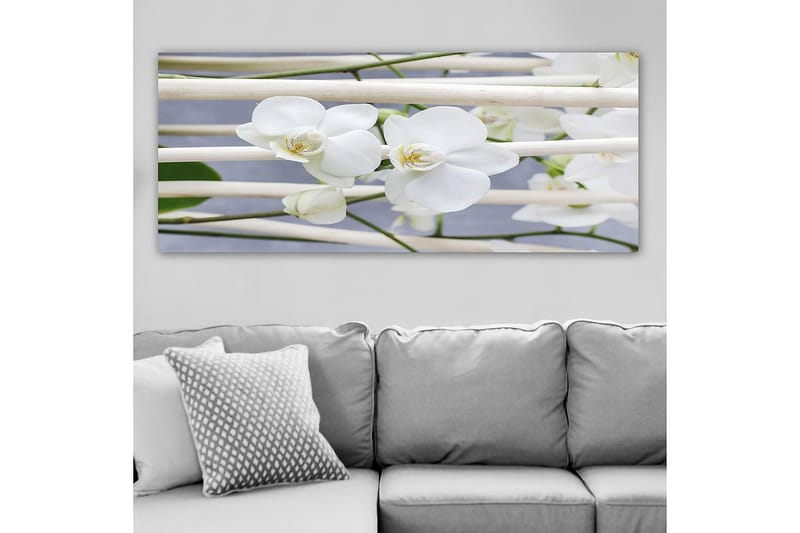 Canvasbilde YTY Floral & Botanical Flerfarget - 120x50 cm - Interiør - Maleri & posters - Lerretsbilder