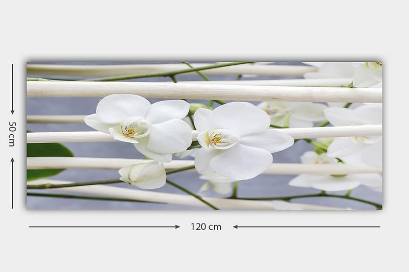 Canvasbilde YTY Floral & Botanical Flerfarget - 120x50 cm - Interiør - Maleri & posters - Lerretsbilder