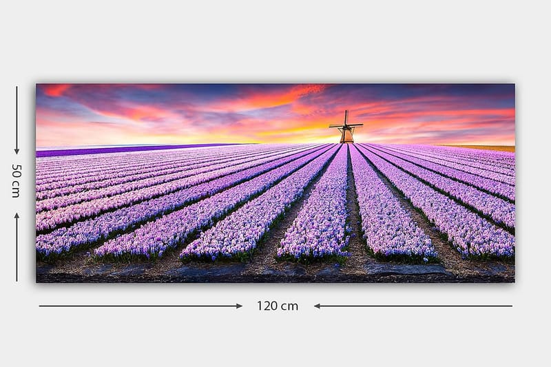 Canvasbilde YTY Floral & Botanical Flerfarget - 120x50 cm - Interiør - Maleri & posters - Lerretsbilder