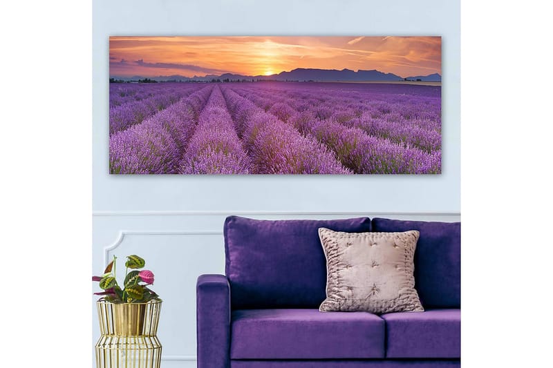 Canvasbilde YTY Floral & Botanical Flerfarget - 120x50 cm - Interiør - Maleri & posters - Lerretsbilder